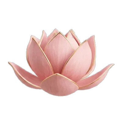 Pink Farm Lotus Bloom